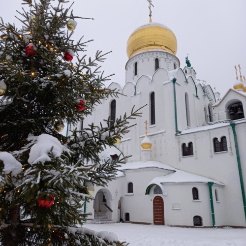 Любимая обитель Николая II в Царском селе — из Петербурга