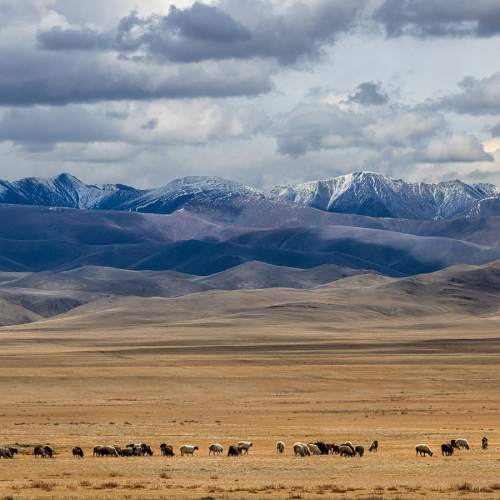 В окружении Саян: тур по Аршану и Монголии