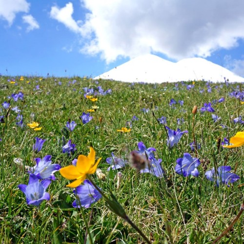 Высокогорный треккинг вокруг Эльбруса в Джилы-Су с проживанием в палатках