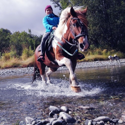 На лошадях к Корякскому вулкану с палатками. Всё включено