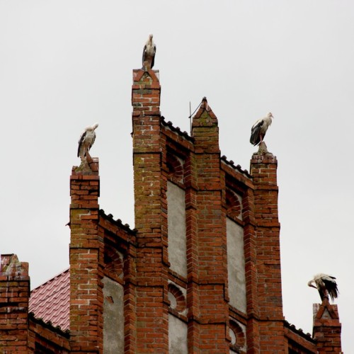 Портал в Средневековье: Правдинск, Гусев и Черняховск, Роминтенская пуща и Выштинецкое озеро