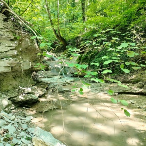 Поход с палатками и автосопровождением через горы в Геленджик