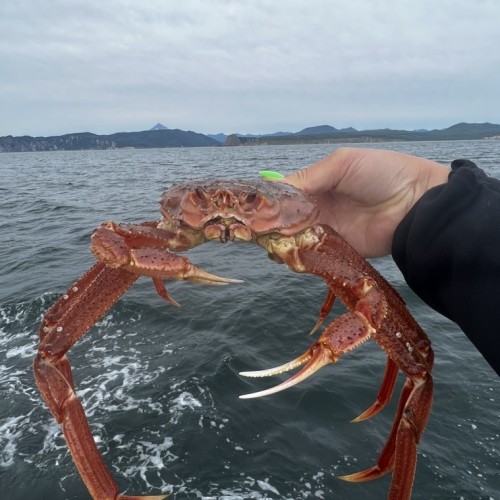 На джипе по Камчатке: восхождения, рыбалка, сплав и обеды на свежем воздухе (мини-группа)