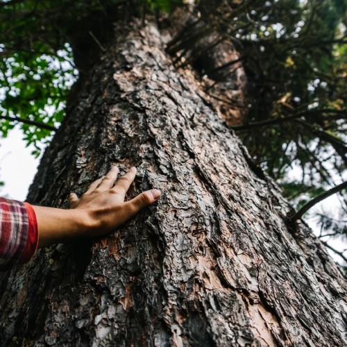 Телецкое озеро — путешествие с этнографом на вашем авто