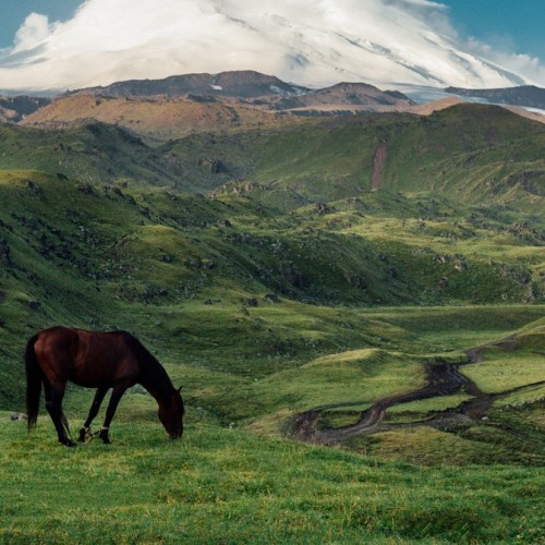 Выходные среди гор: к плато Бермамыт и Гришкиной балке на лошадях