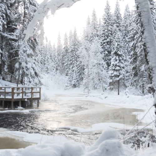 Выходные в парке «Рускеала» и городе Сортавала: 3 варианта маршрута