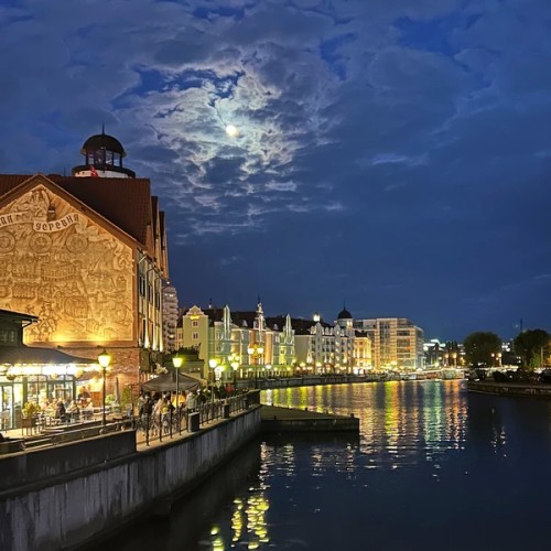 Насыщенный трип по Калининграду: дегустации, необычные маршруты, органный концерт и рыцарский турнир