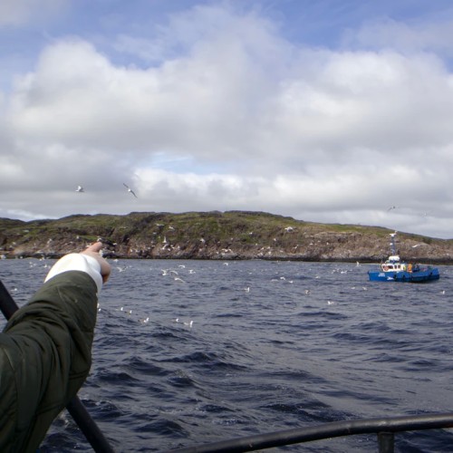 Главные места Кольского полуострова: Мурманск и Териберка