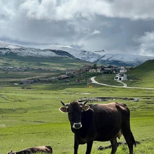 Дагестанский калейдоскоп: активный тур по главным локациям с водными и конными прогулками