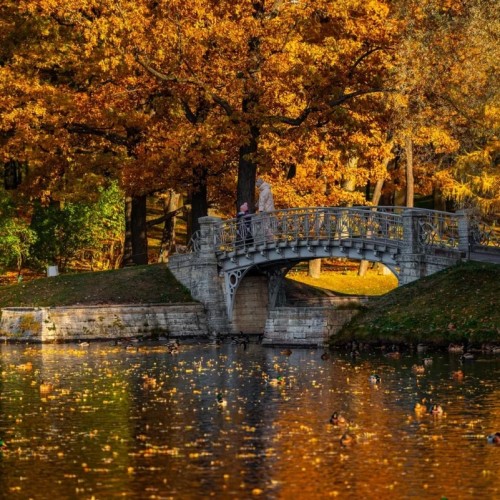 По следам императоров: Царское Село, Павловск и Гатчина