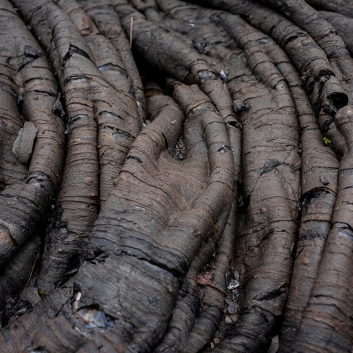 Большое путешествие по Камчатке: вулканы, глэмпинг в Мёртвом лесу и круиз в бухту Русская