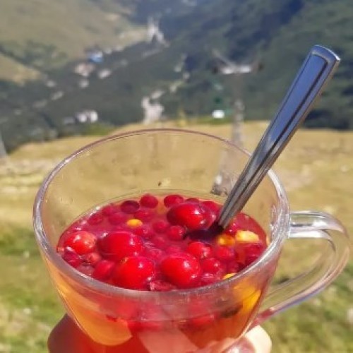 Комфортный треккинг в Приэльбрусье в мини-группе