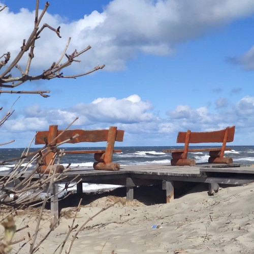 В царство дюн, моря и птиц на Куршской косе — из Калининграда