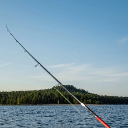 Рыбалка на Ладожском озере: перезагрузка вдали от города с комфортом (всё включено)