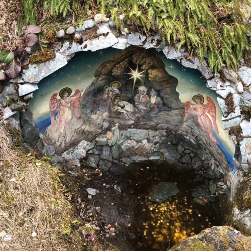 По цветущему Алтаю с выездом из Новосибирска и Горно-Алтайска: топовые места