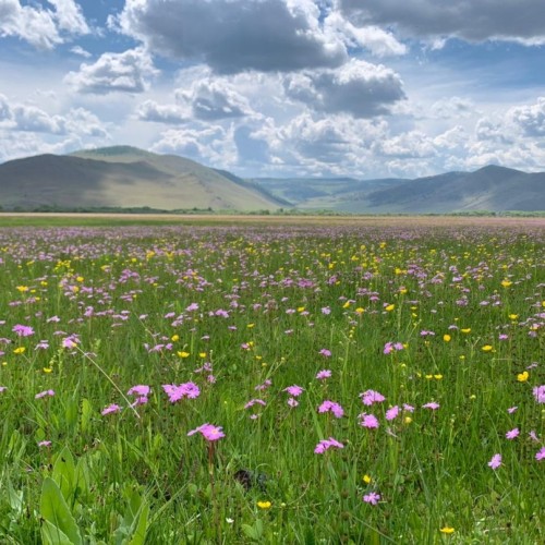 Свидание с Байкалом: Ольхон, Листвянка и КБЖД, мастер-класс, бурятская кухня и места силы