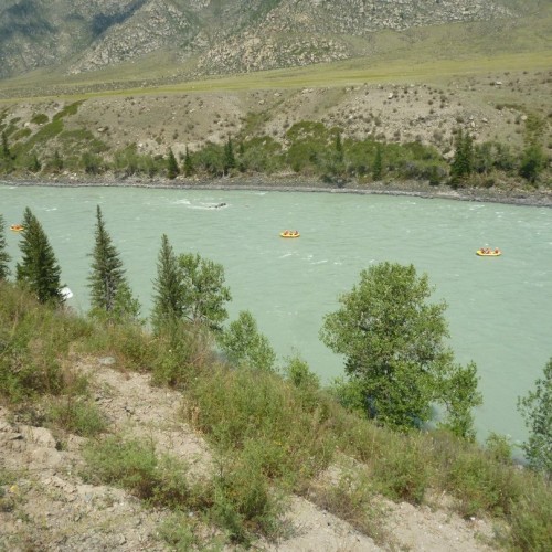 Большое алтайское приключение