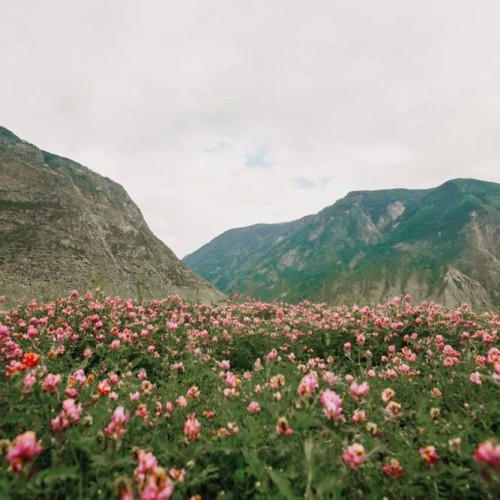Индивидуально по Алтаю: Чуйский тракт, Гейзерное озеро, «Марсы» и секретные места