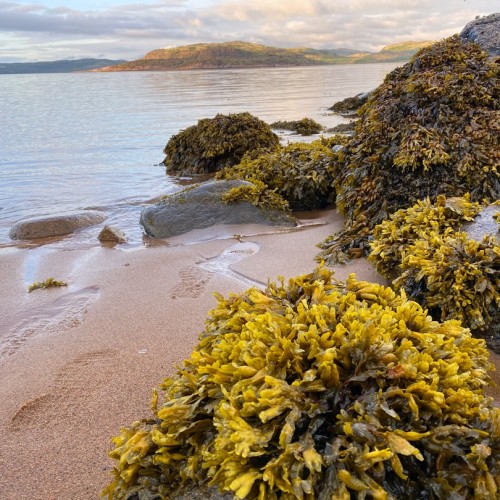 Приключения в Арктике в мини-группе: Териберка, Ловозеро, Хибины и Кировск с активностями