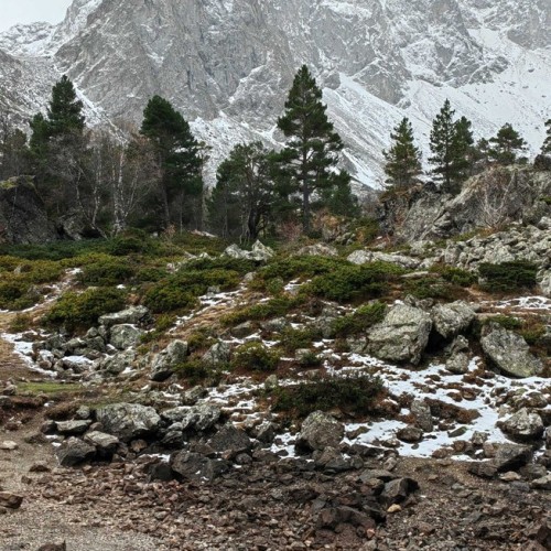 Если с другом вышел в путь: треккинги в Архызе в компании маламута (в мини-группе)