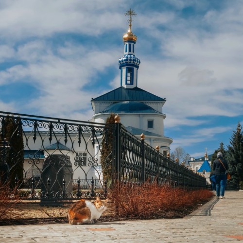 Святыни и легенды: путешествие в Раифу из Казани