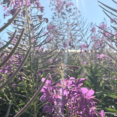 Терский и Кандалакшский берега Русского Севера: путешествие только для вашей компании