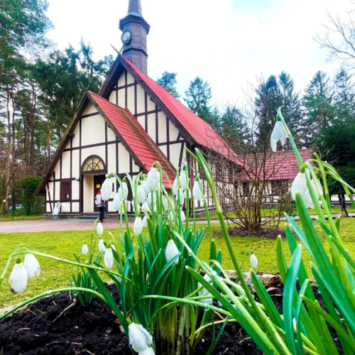 Калининградское наследие Восточной Пруссии: немецкая архитектура Раушена, Кёнигсберга, Пиллау