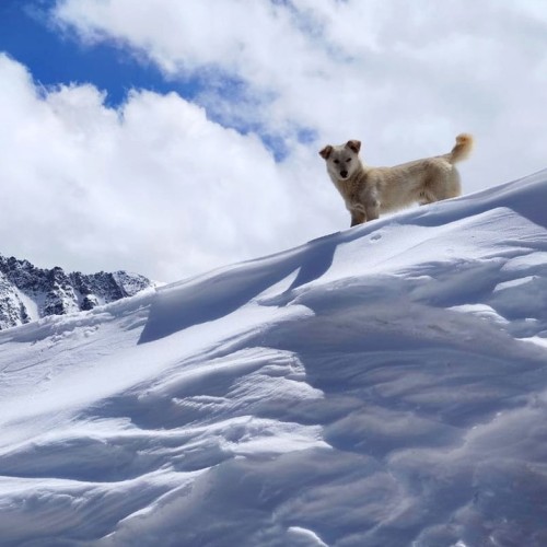 Нетипичное Приэльбрусье: треккинг налегке к 4 высокогорным озёрам с проживанием в гостинице