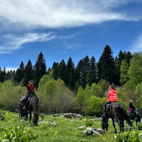 Верхом по Архызу: поездка для конников с любой подготовкой