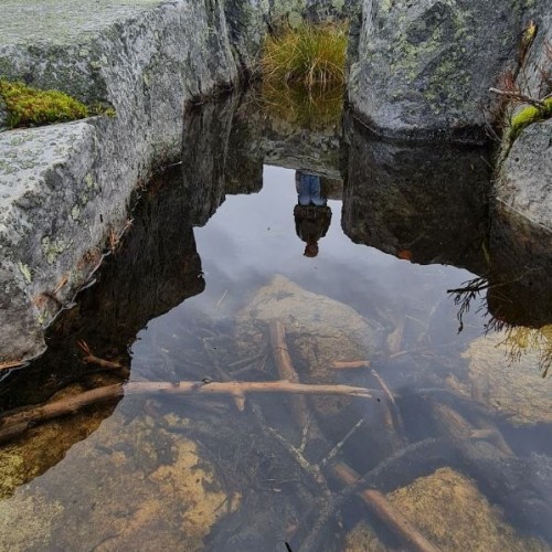 Детокс в Карелии: место силы, дары леса и походная романтика (всё включено)