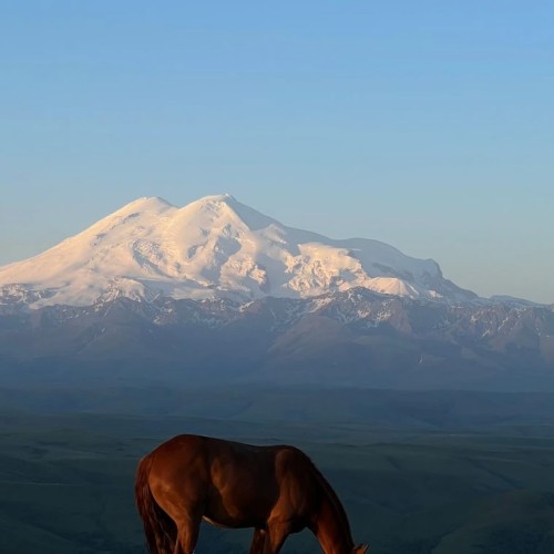 Выходные среди гор: к плато Бермамыт и Гришкиной балке на лошадях