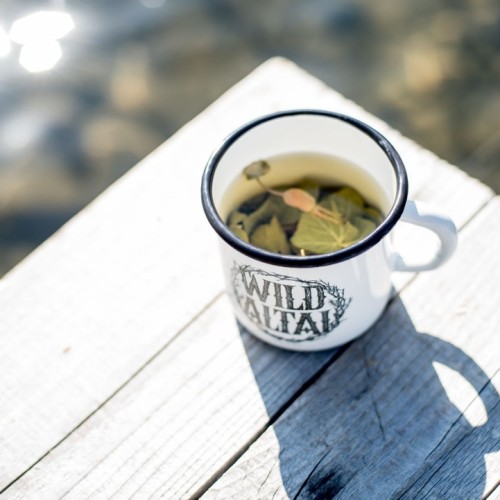 Комфорт-тур на Алтай с фотографом: полёт на вертолёте, парение и главные места (всё включено)