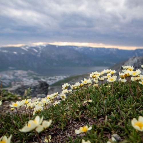 Горы и водопады Севера: тур на Кольский полуостров в мини-группе