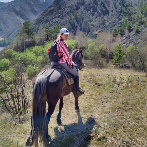 По цветущему Алтаю верхом: конный тур с проживанием на базе (всё включено)