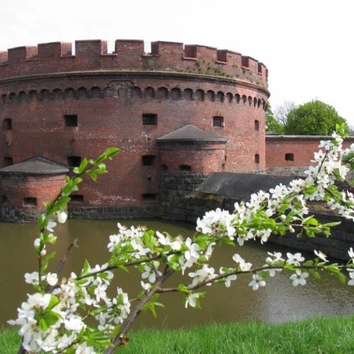 Город с богатым прошлым и перспективным будущим — по Калининграду на микроавтобусе