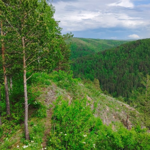 Треккинг по восточной части Торгашинского хребта