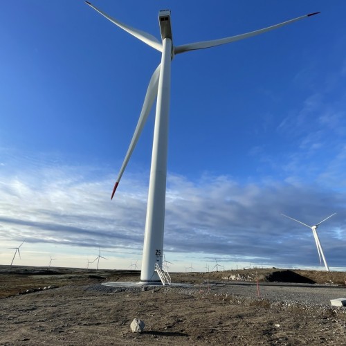 Своей компанией на Русский Север: Мурманск, Териберка, Кировск и саамы