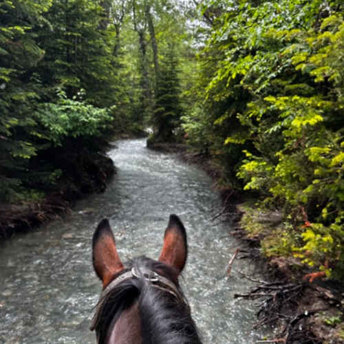 Верхом по Архызу: поездка для конников с любой подготовкой