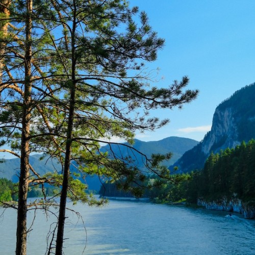 Интернет-детокс и отдых от забот и суеты в горах Алтая