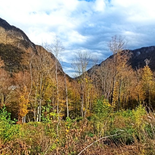 Большой тур по Сочи: природа, архитектура, история