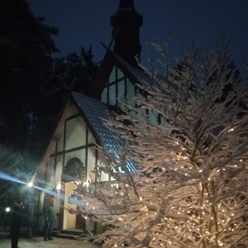 Встречай, янтарный край: индивидуальное путешествие по городам Калининградской области