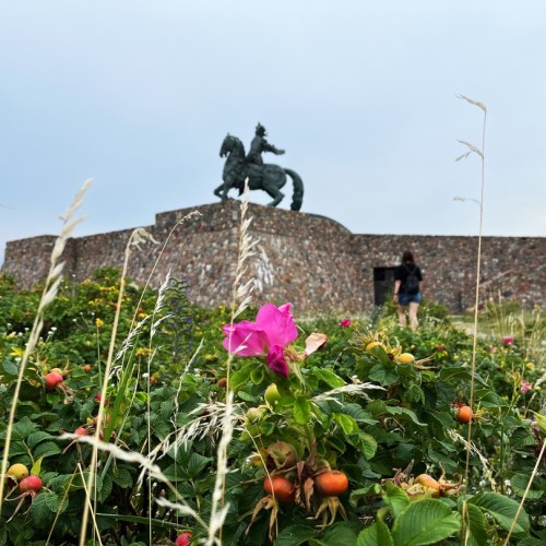 Кёнигсбергская перезагрузка: Калининград, Янтарный и Балтийск с проживанием в экоотеле на побережье