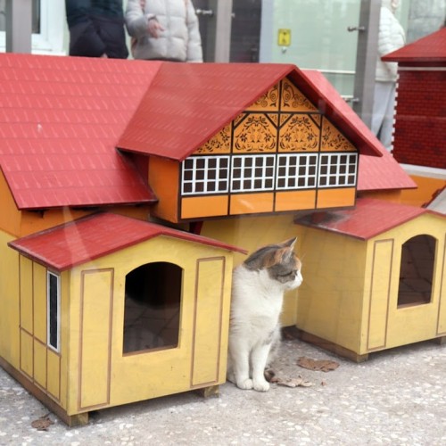 Новые грани Калининграда: необычные экскурсии и нетуристические маршруты