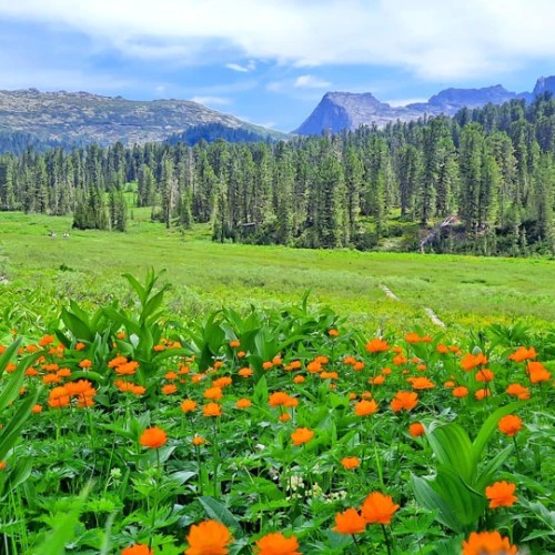 Сказочные Саяны: треккинг в природном парке «Ергаки»