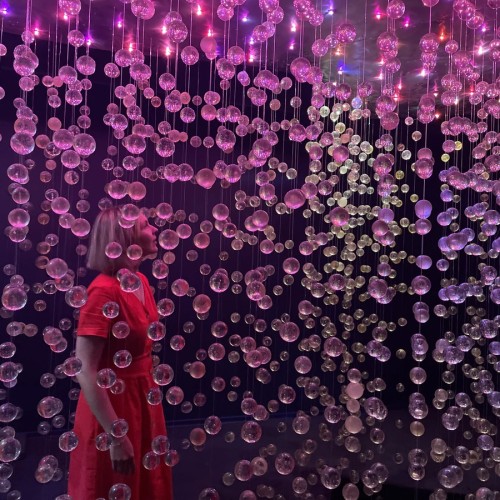 В музей «Эрарта» с гидом-искусствоведом