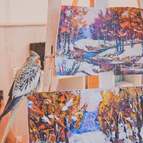 Петербург глазами местных жителей