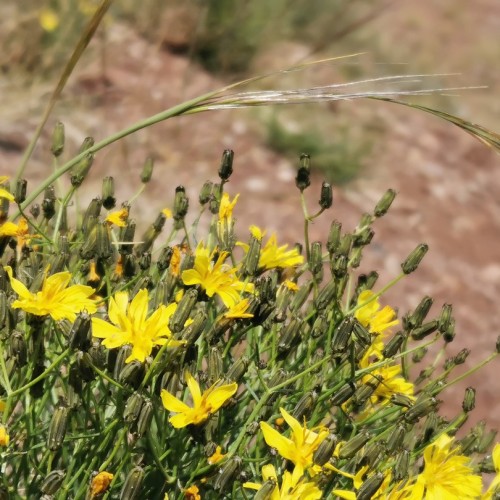 Алтайские активности и главные достопримечательности в мини-группе