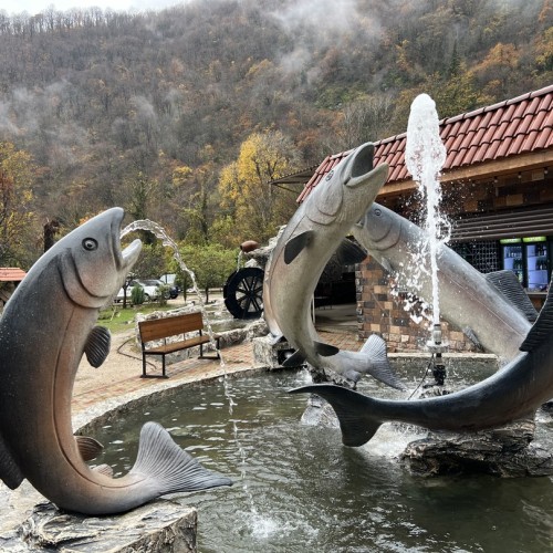 Индивидуальная поездка 3 в 1: Сочи, 3 горнолыжных курорта и главные локации Абхазии