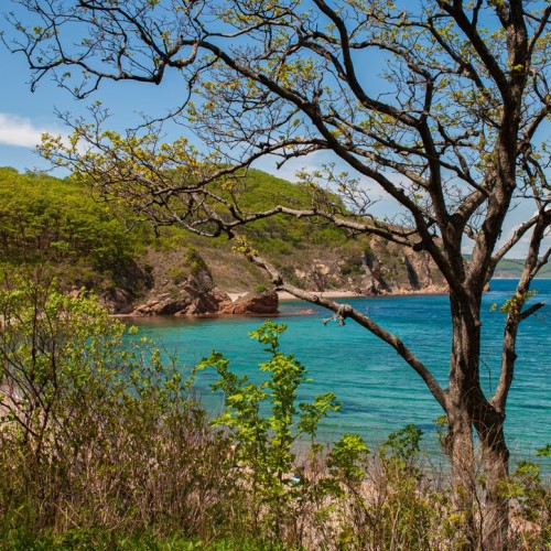 По волнам Японского моря на яхте с маской, сапом и деликатесами (мини-группа)