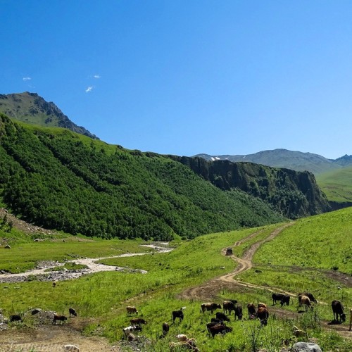 К термальным источникам Джилы-Су по захватывающей дороге